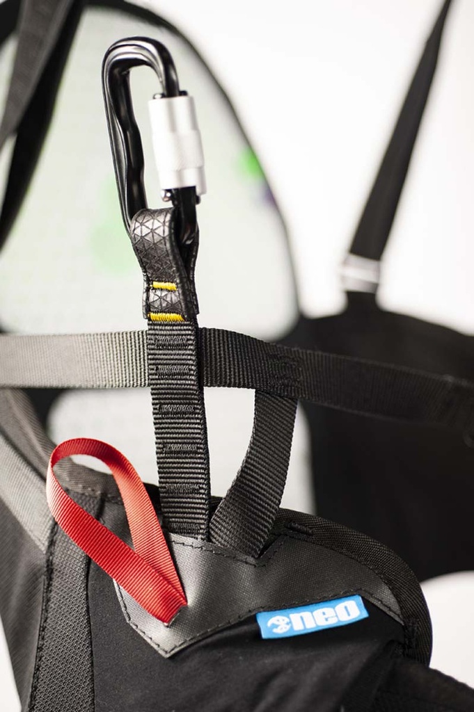 Body Picture 2.0 Naked