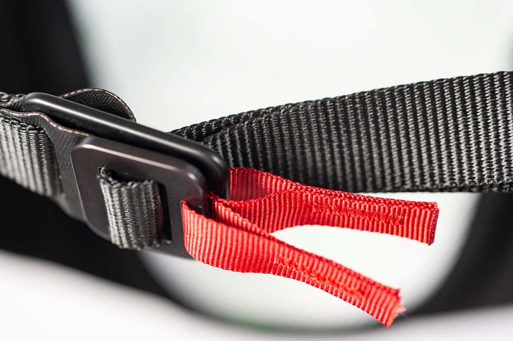 Body Picture 2.0 Naked