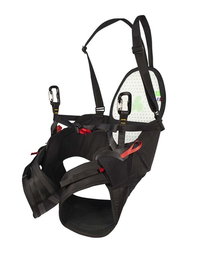 Body Picture 2.0 Naked